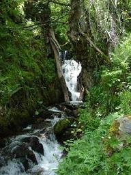 20090612225830-arroyo-cristalino-en-el-bierzo..jpg