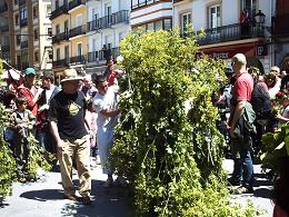 Villafranca del Bierzo: celebración de la 'Festa do Maio' (1/5/09).